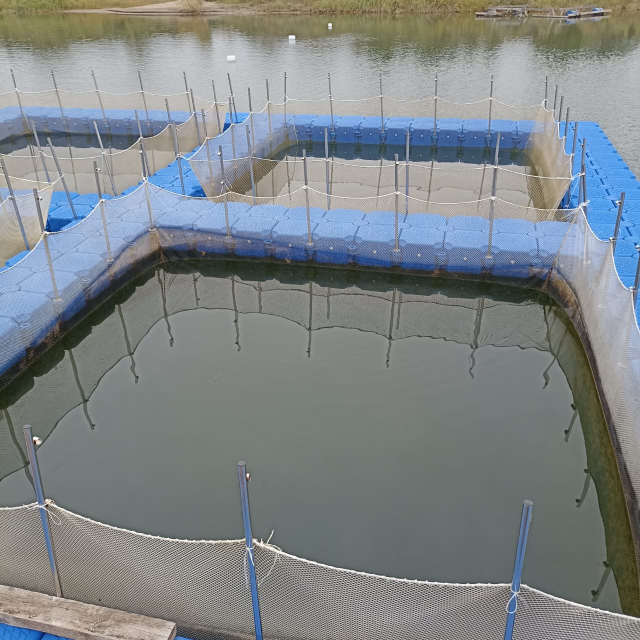 Садки для разведения рыбы